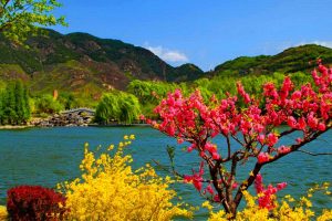 TaMBpOumV32KGAoGb27j16UNCiUYRHJALNFKyz1Vti8